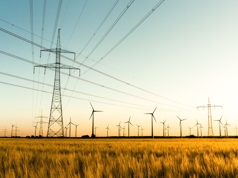 Strommasten im Kornfeld und Windräder im Sonnenuntergang.