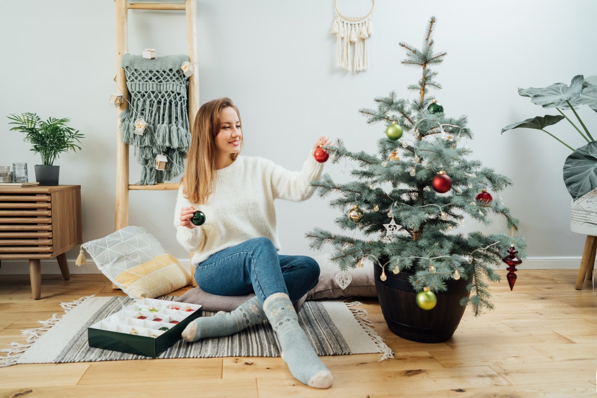 Weihnachtsbaum im Topf