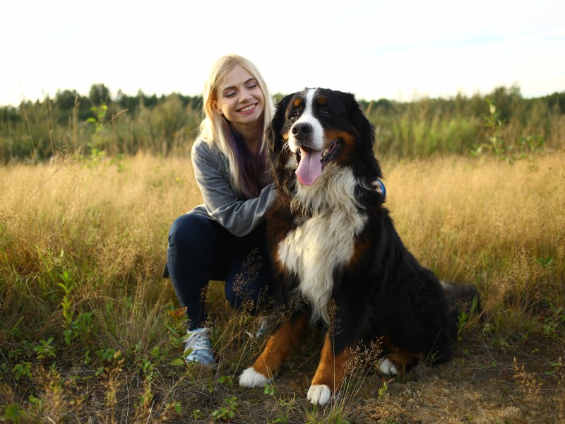 Frau mit Berner Sennenhund