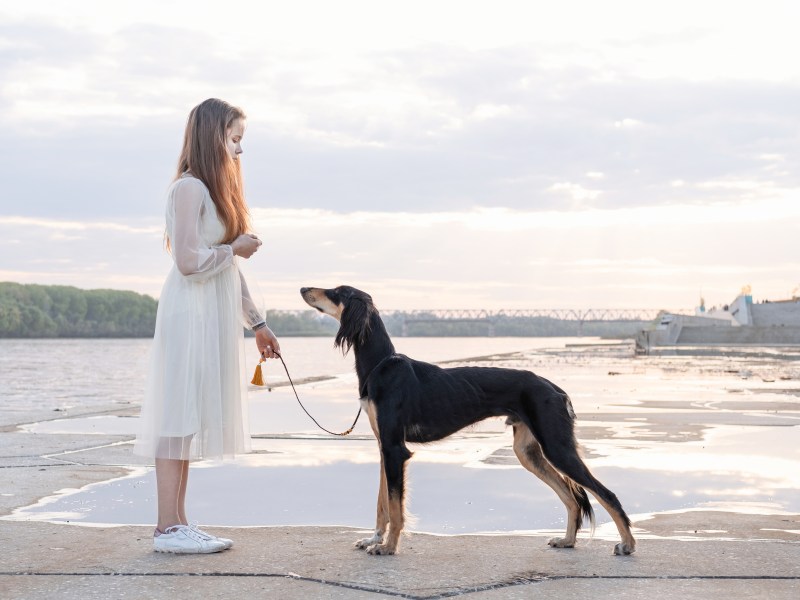 Frau mit Windhund