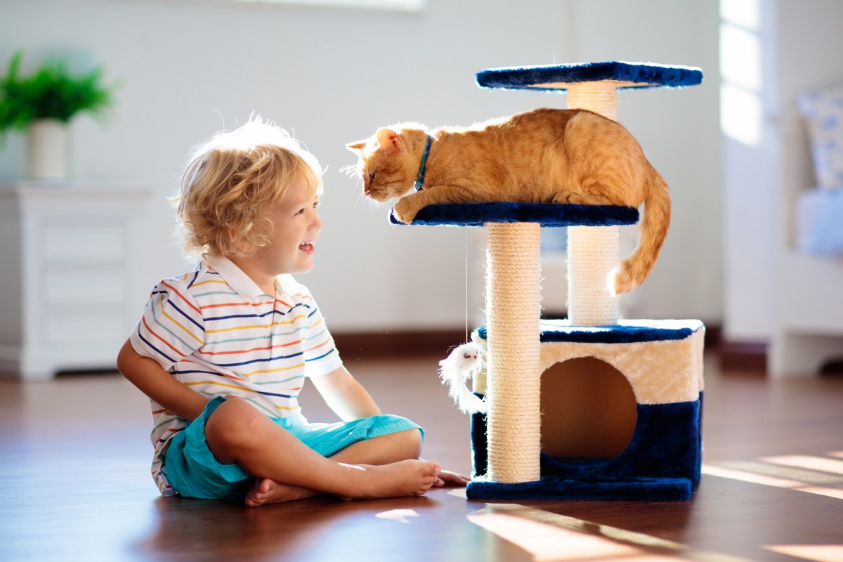 Kind sitzt mit Katze vor Kratzbaum und spielt