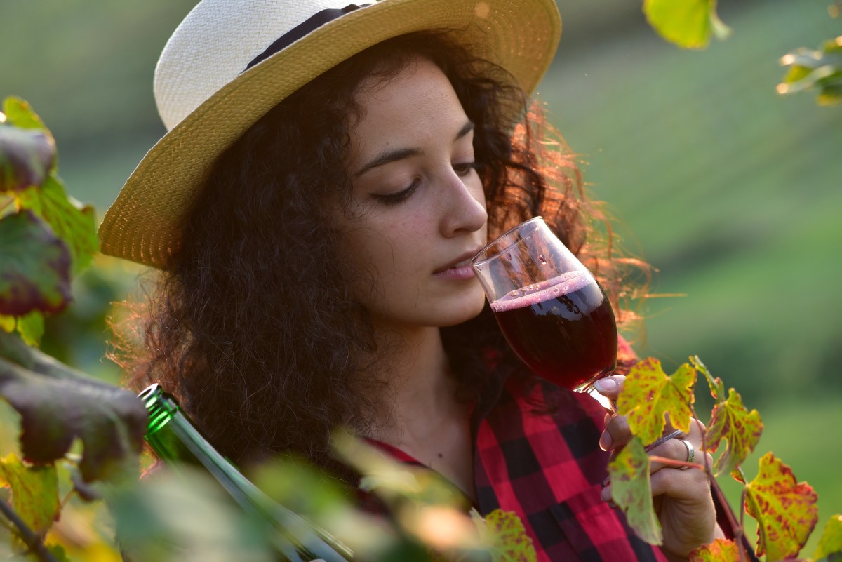 Lambrusco Spritz: Sommer Cocktail mit Aperol