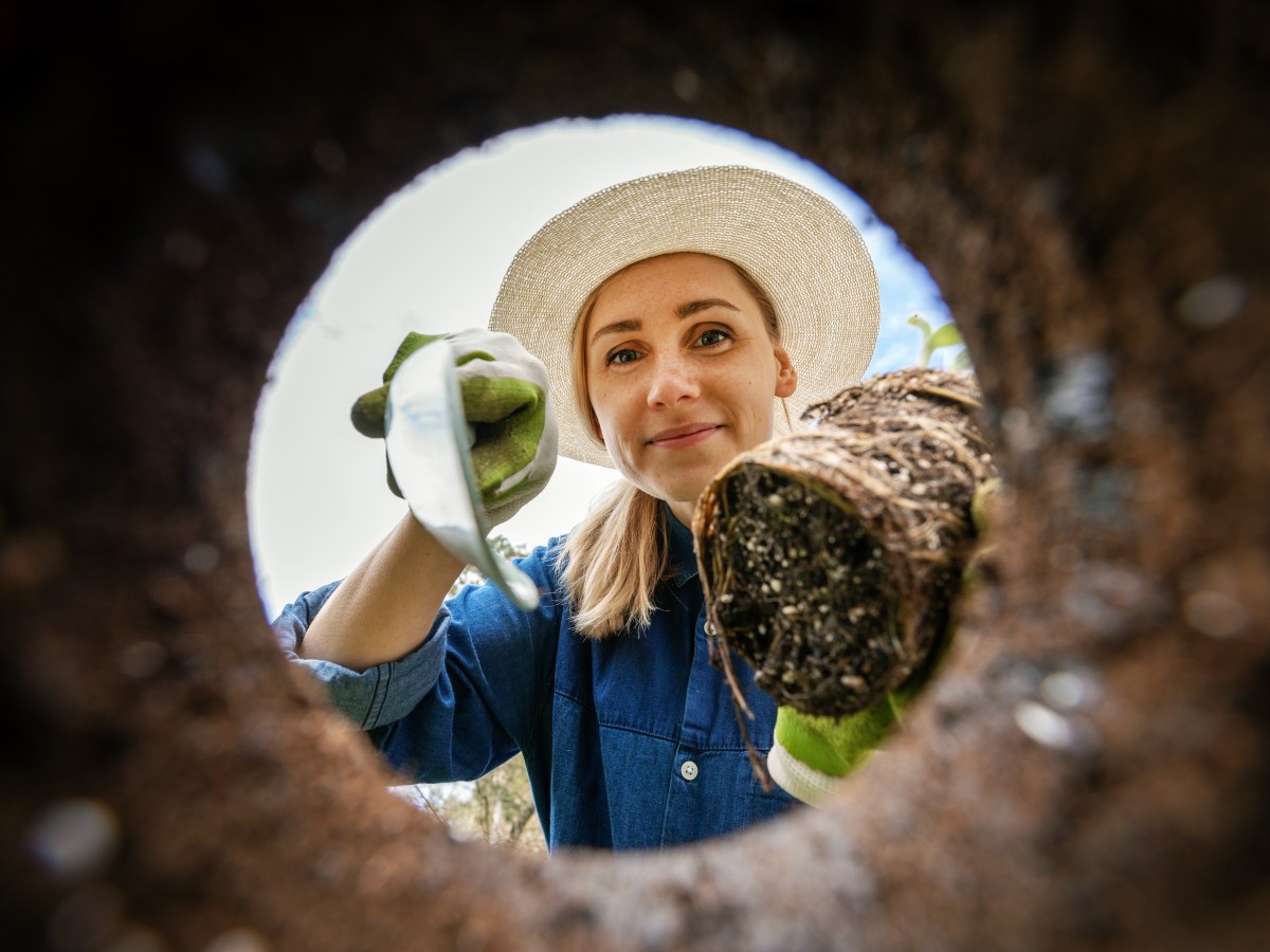 Garten im April: Diese Arbeiten stehen nun an