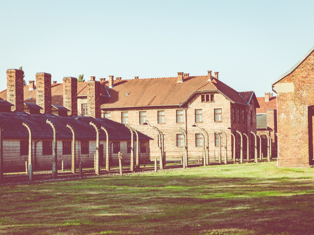 Lale fand im Konzentrationslager in Auschwitz seine große Liebe.