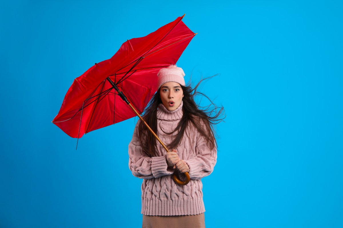 Regenschirme halten in der Regel nicht besonders lang. Keine Panik, du kannst sie wunderbar weiterverwerten. Das sind unsere drei besten Hacks für alte oder kaputte Regenschirme.