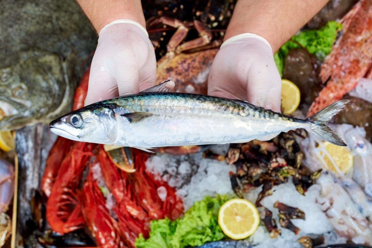 Fisch Supermarkt