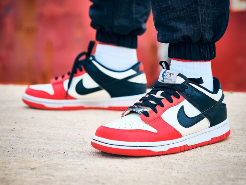 Nike Dunk Low