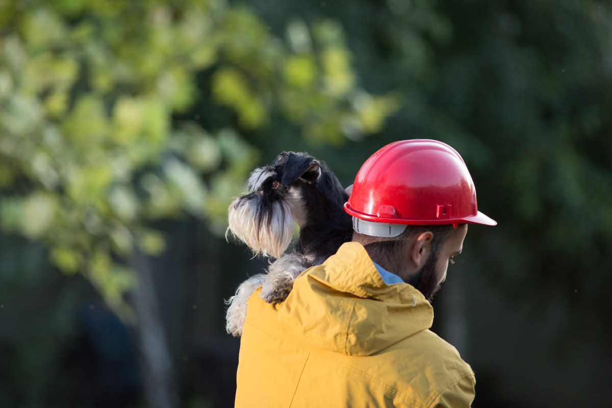 Notfallkarte Haustier Feuerwehr