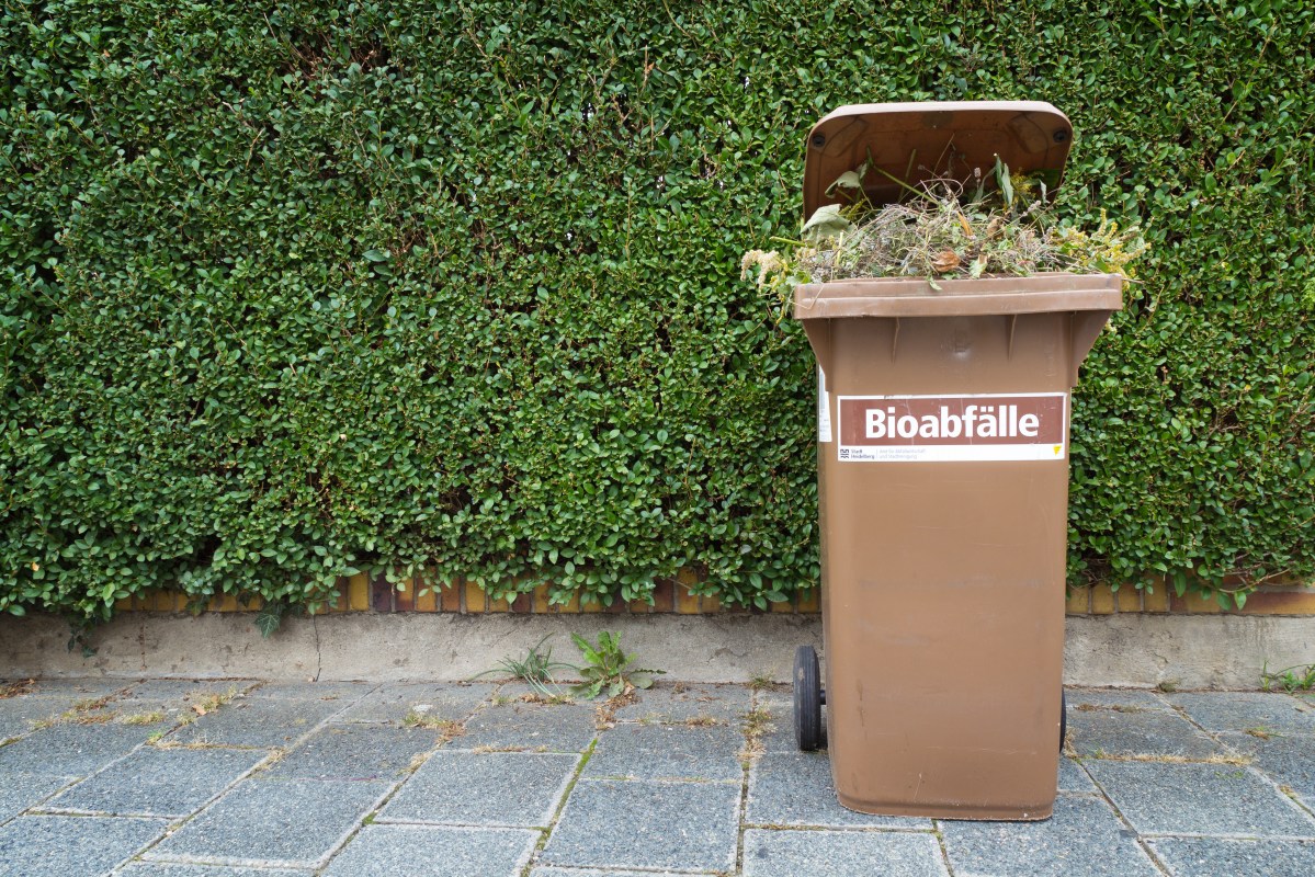 Eine volle Biotonne steht am Straßenrand.