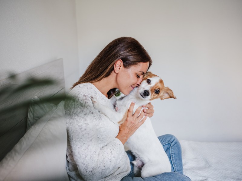 Kuscheln mit Welpen