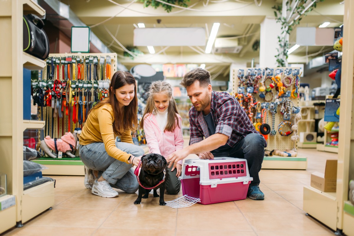 Erstausstattung Hund kaufen