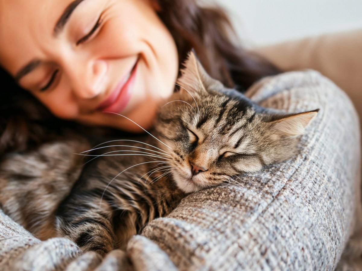 Katze schmust mit Frau