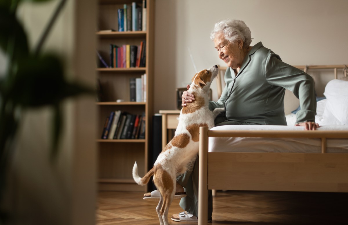 Seniorenwohnung mit Hundehaltung