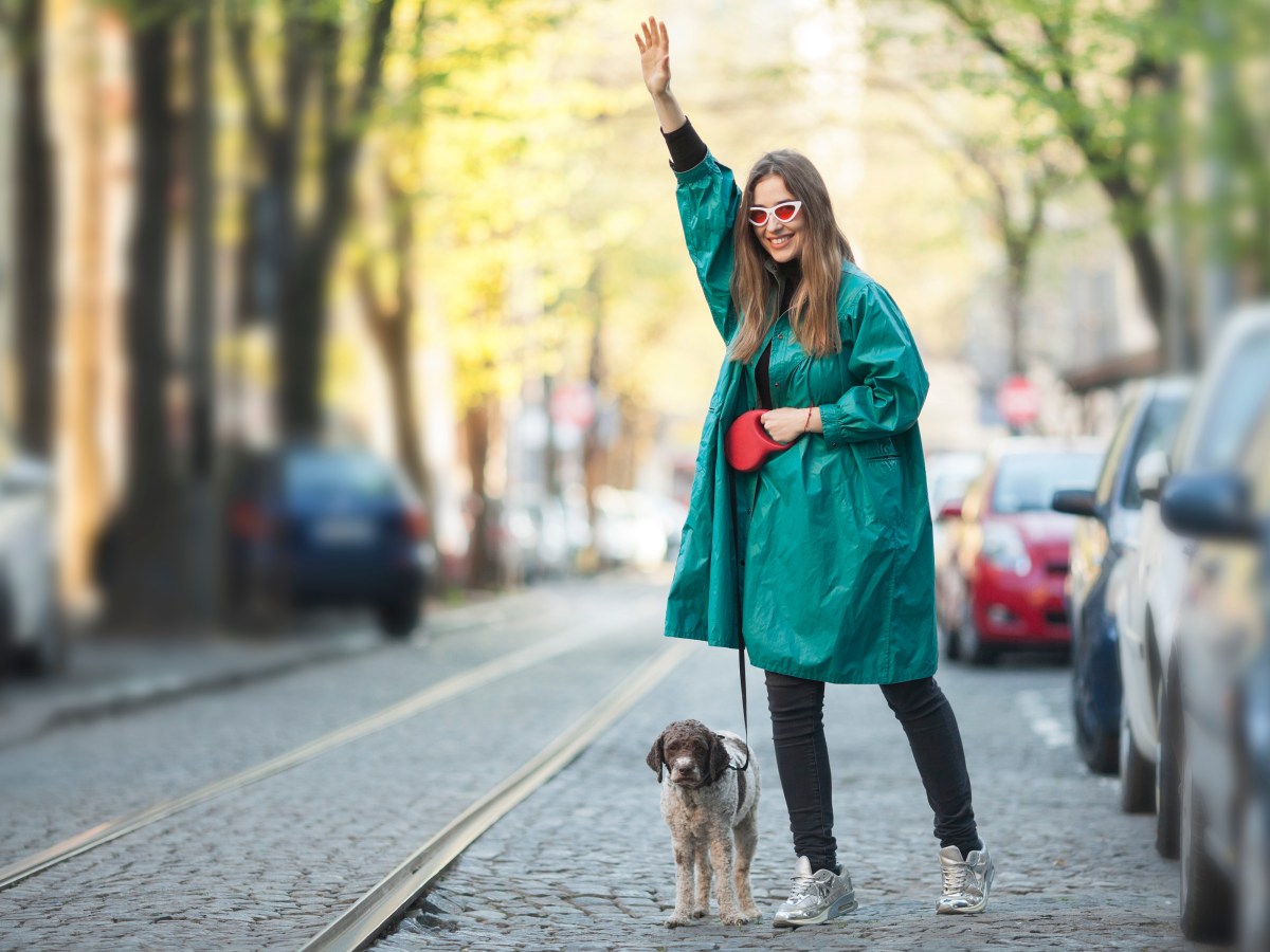 Hund im Taxi: Darf der Taxifahrer den Vierbeiner rausschmeißen?