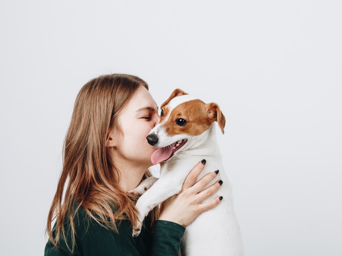 Laut Studie: Wissenschaftler entschlüsseln das „Freundschafts-Gen“ bei Hunden