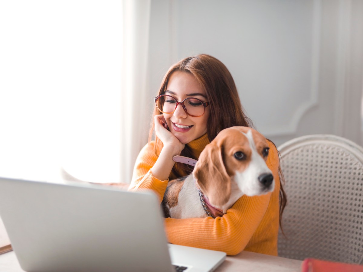 Hund: So helfen diese Hunde Studierenden in den Klausurenphasen