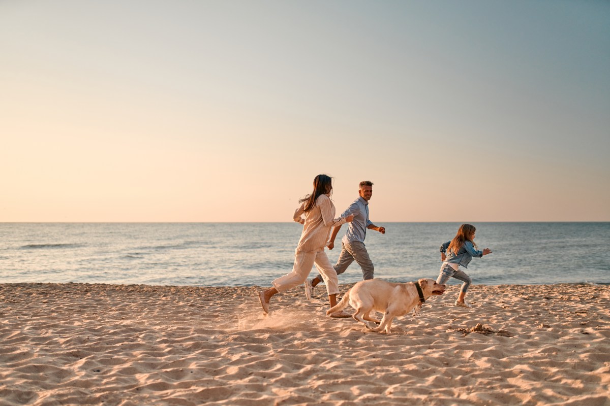 Hund am Meer mit Familie