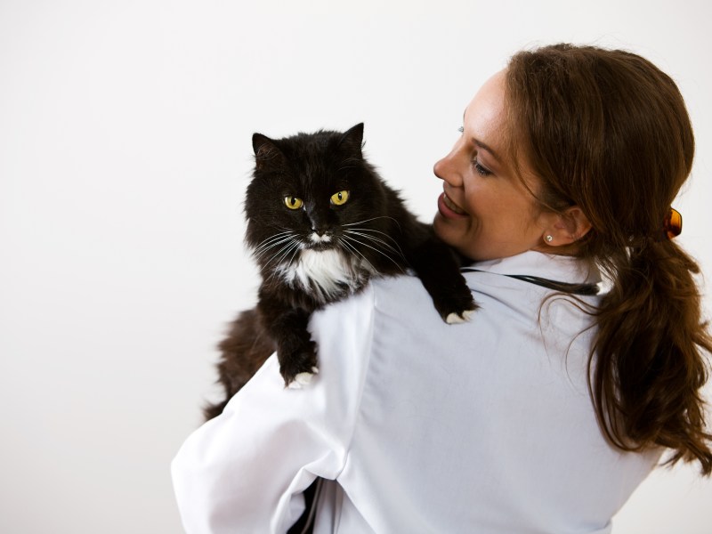 Frau mit Katze auf dem Arm