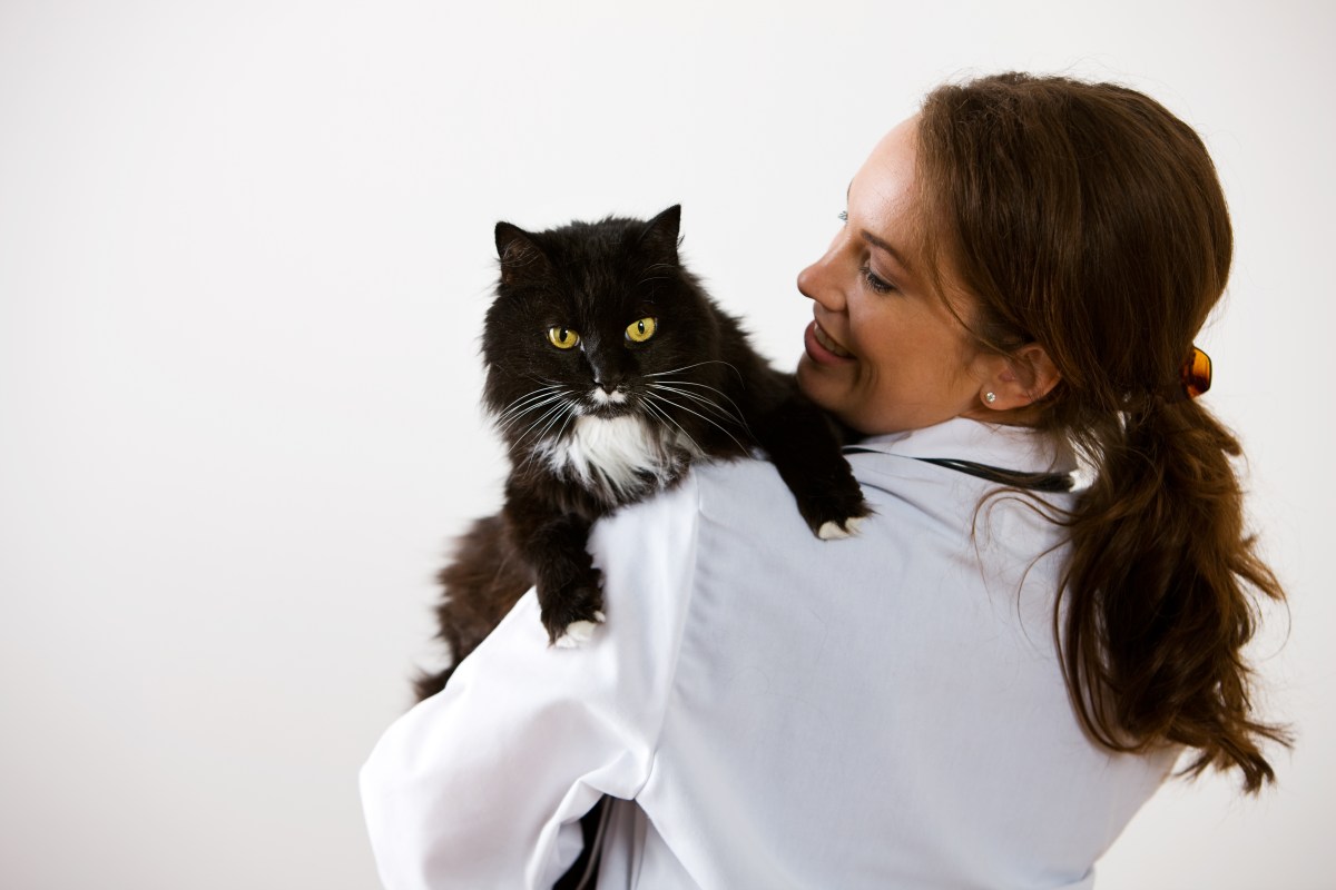 Frau mit Katze auf dem Arm