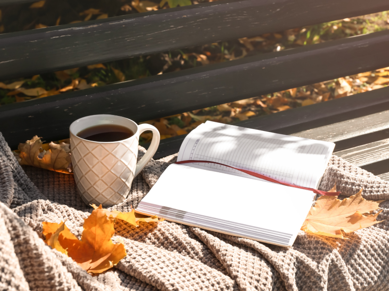 Decke, Tee und Buch im Herbst auf Parkbank