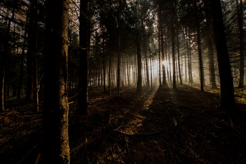 Bis heute bleibt unklar, was sich hinter dem mysteriösen Licht verbirgt.