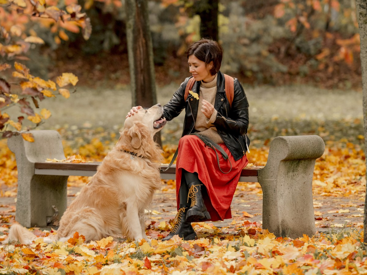 Hund: 4 Dinge, die auf deiner Bucket List für den Herbst mit Hund stehen solltest