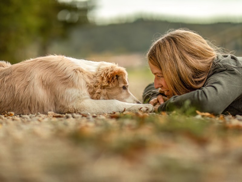 Hunde-Mama