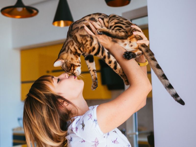 Frau hebt Katze hoch in die Luft