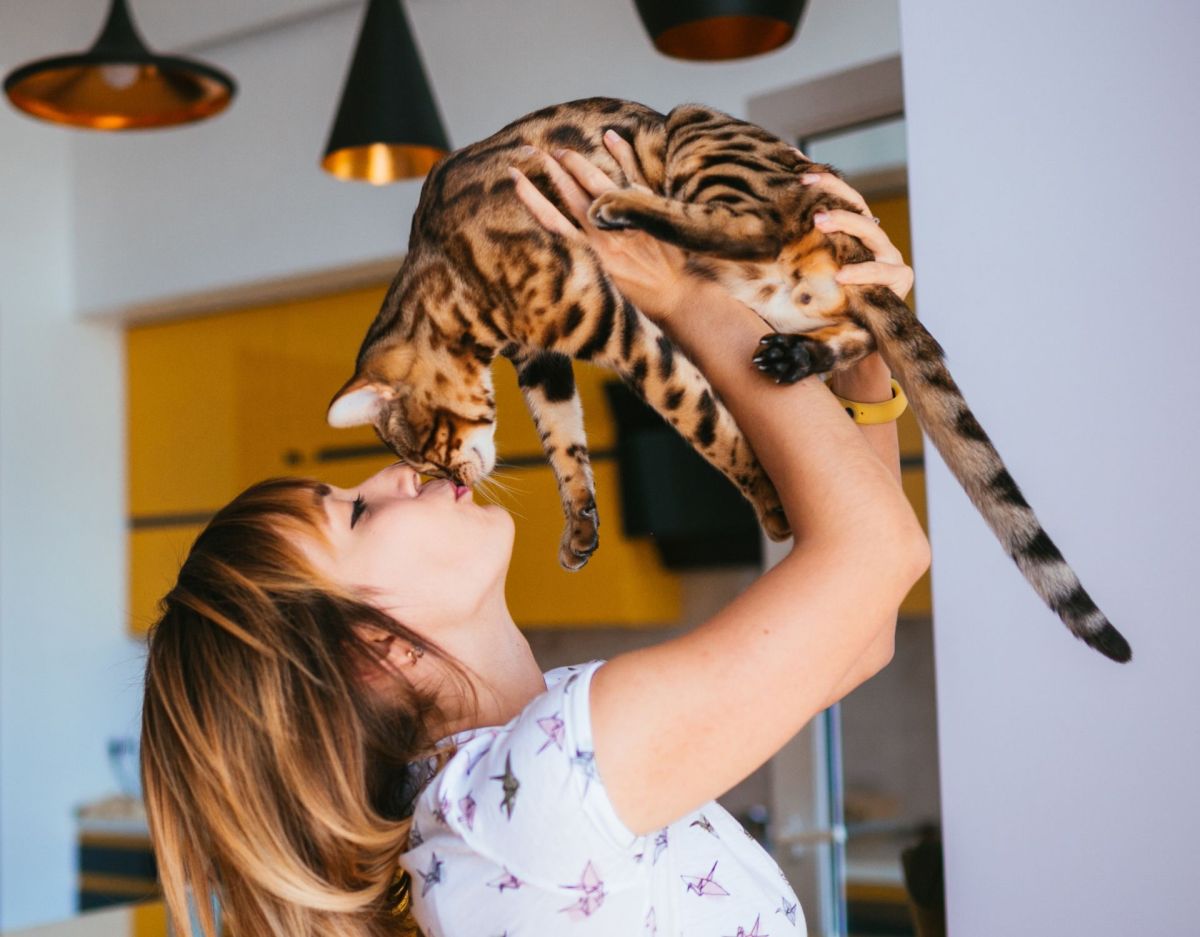 Frau hebt Katze hoch in die Luft