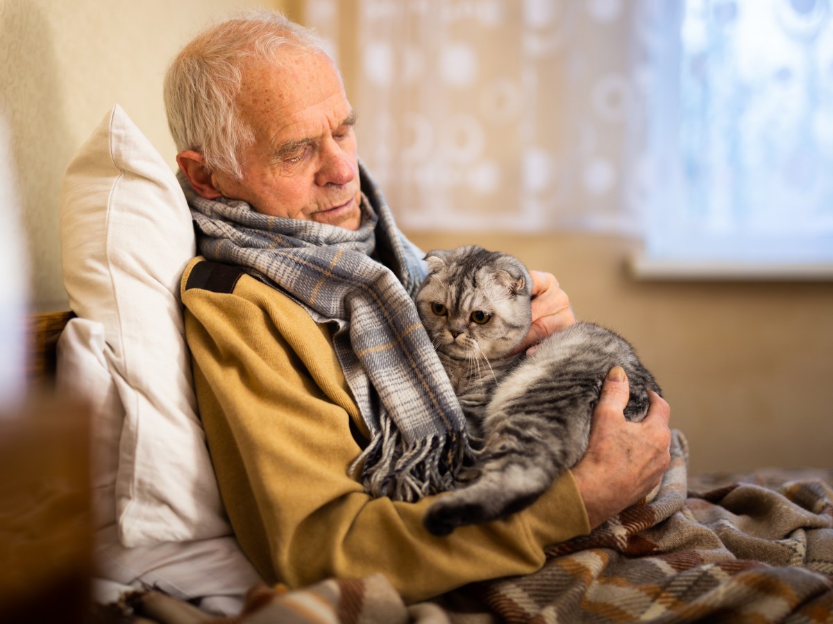 Niedliches Video zeigt: Warum jeder Rentner eine Katze braucht