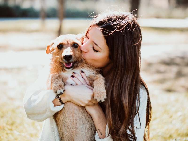 Bindung Hund Mensch