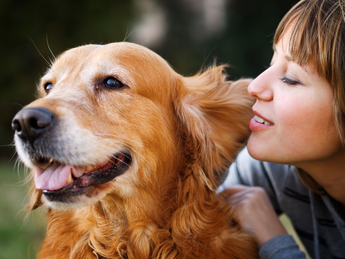 Studie beweist: Sprich so mit deinem Hund, damit er dich besser versteht!