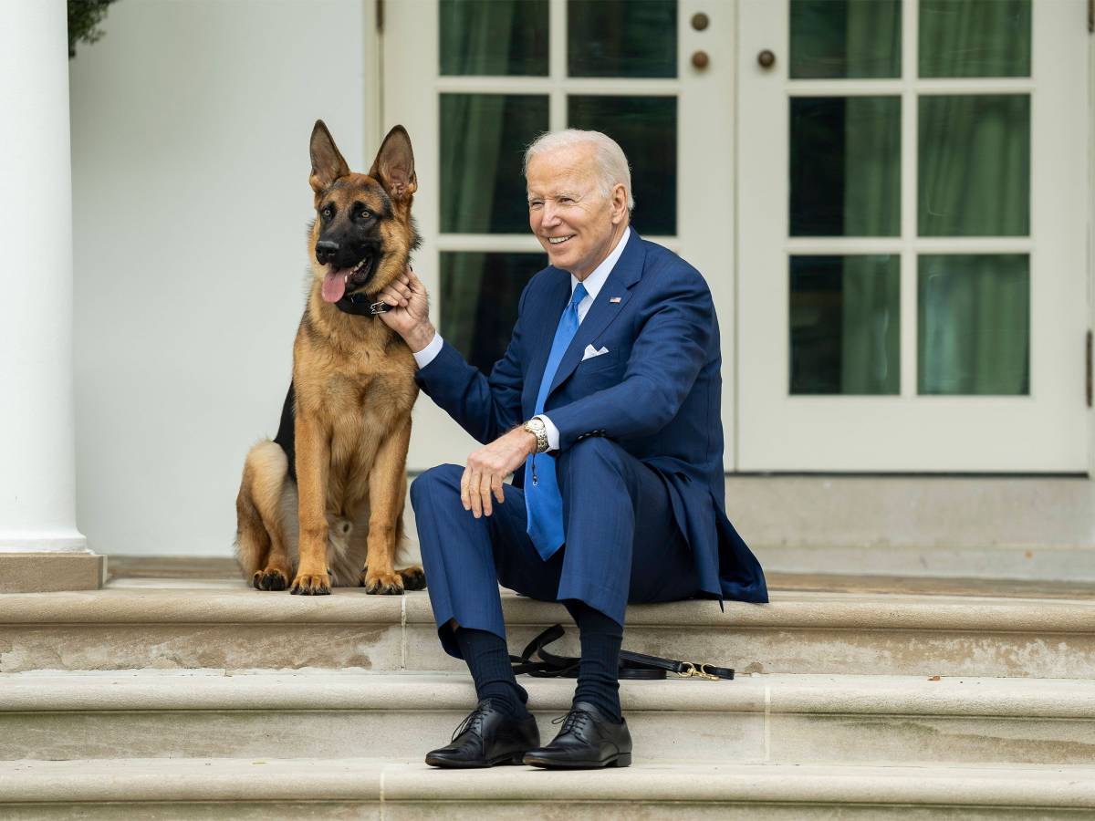 Joe Biden: So viele Secret Service-Mitarbeiter biss sein Schäferhund wirklich