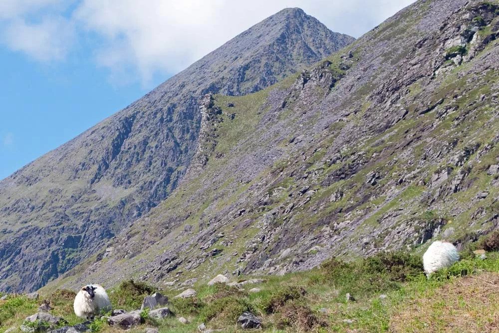 Wer den Weg Devil‘s Ladder wählt, wird durch naturbelassene Landschaften wandern.