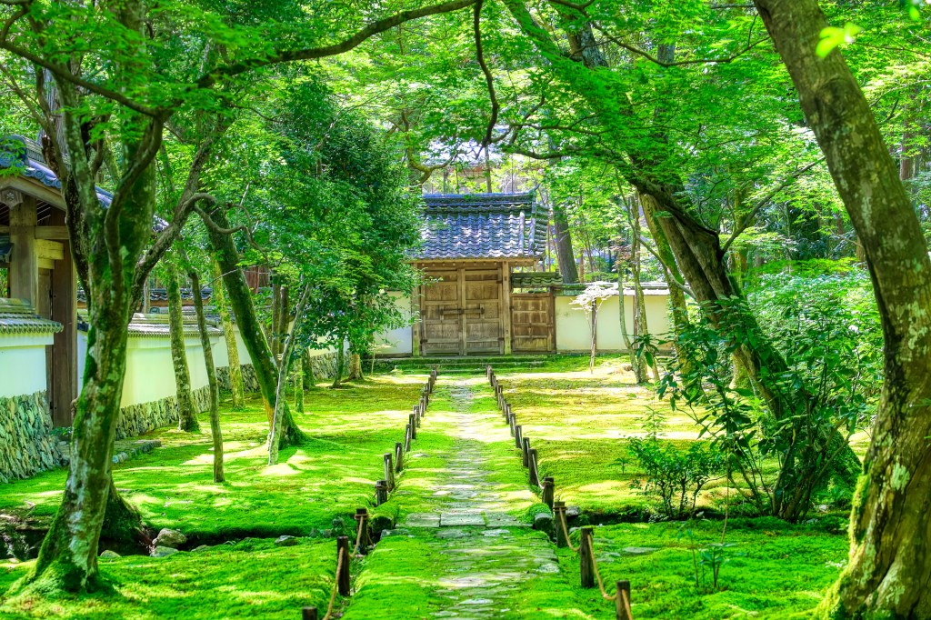 Der Saihō-ji-Garten in Kyoto.