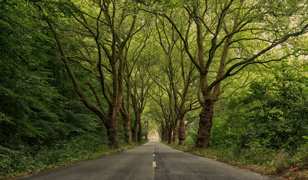 Die Deutsche Alleenstraße beginnt an der Ostsee und geht bis zur Schweizer Grenze.