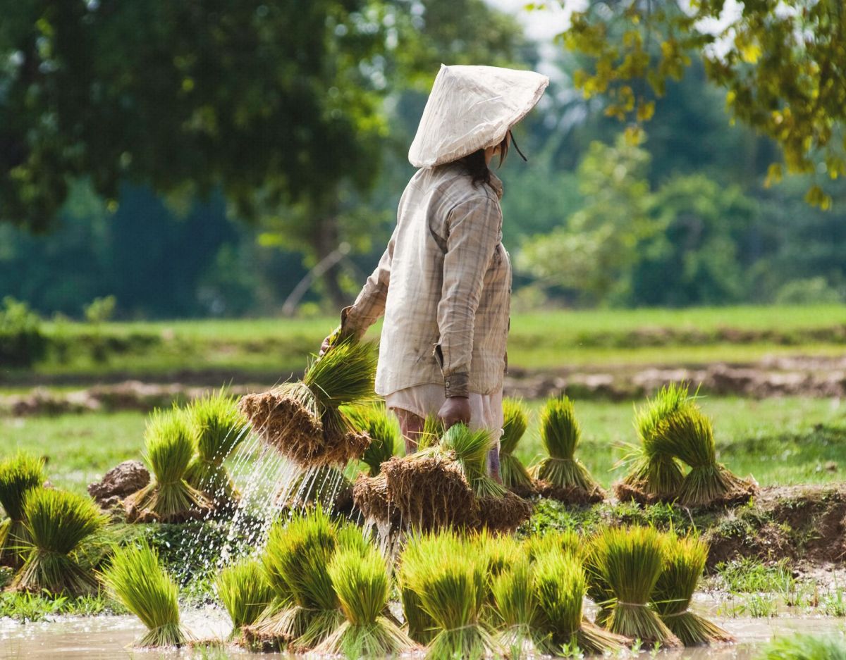 Laut Studie: Die 6 beliebtesten Länder in Asien.