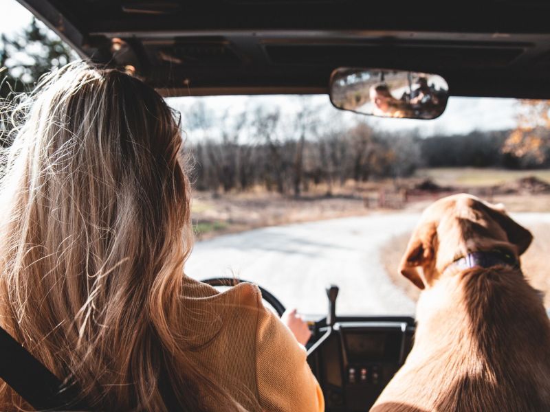 Die 3 besten Orte für einen Roadtrip weltweit.