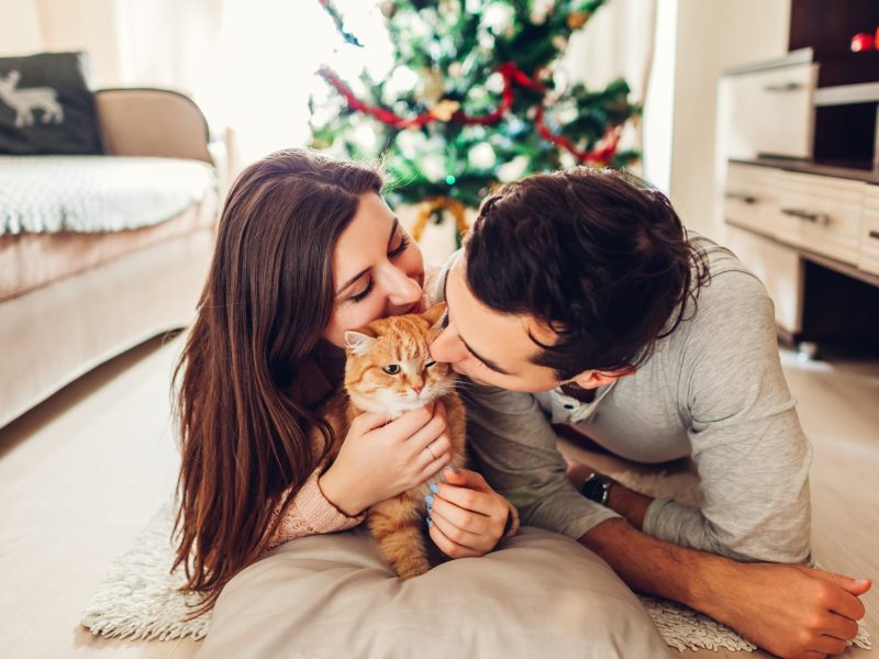 Frau, Mann, Katze, Weihnachten