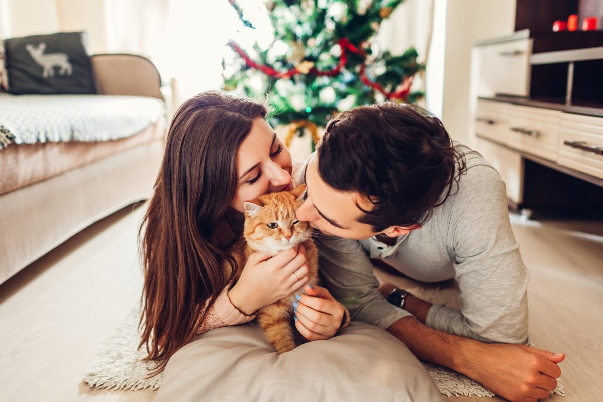 Frau, Mann, Katze, Weihnachten