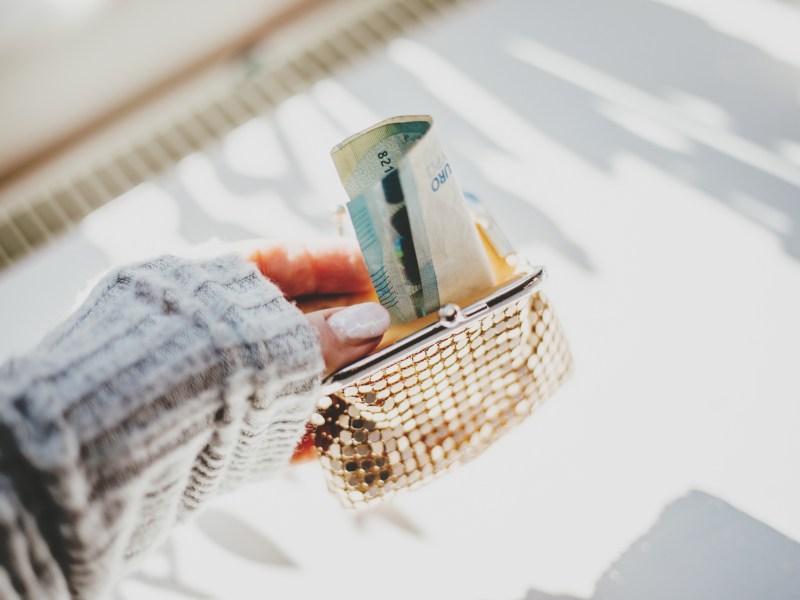 Die weibliche Hand hält eine goldene Handtasche mit Euro-Scheinen.