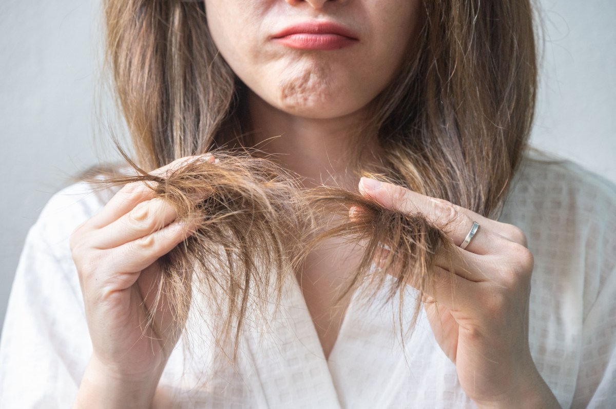 Haarpflege: Kaputte Haare reparieren? Geht das überhaupt? Influencer klärt über den Mythos auf