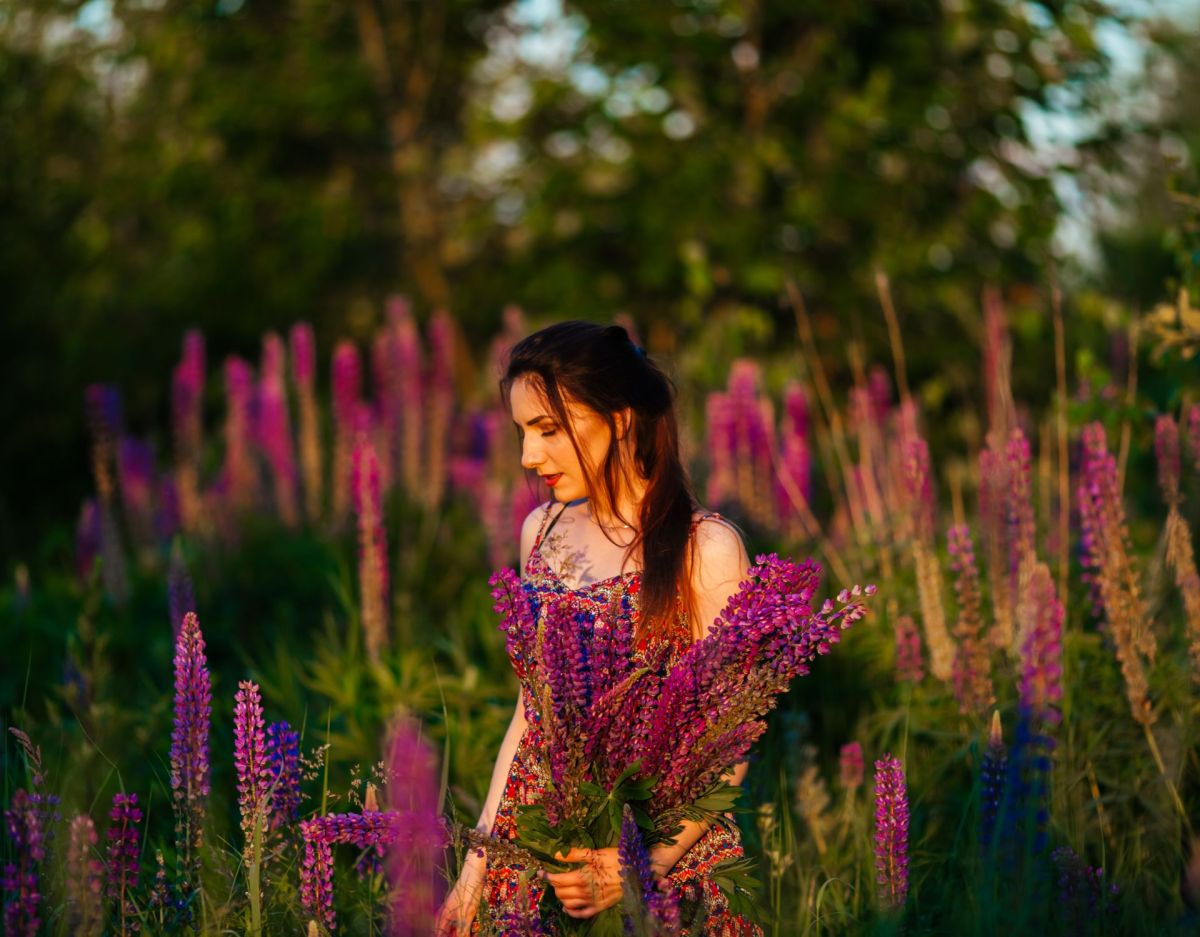 Lupinen