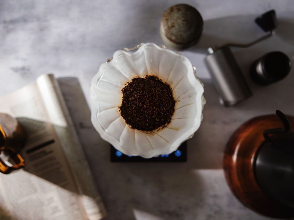 Kaffeesatz als Dünger kann Pflanzen schaden – besonders an diesen 3 Stellen